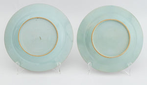Chinese Export Famille Rose Porcelain Plates, Pair (9765861785907)