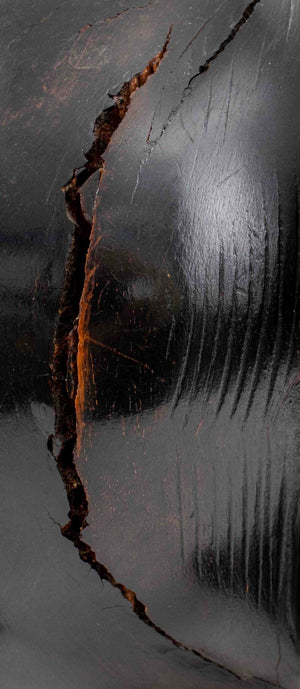 Large African Ebonized Wood Elephants, 2 (9770029056307)