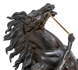 Guillaume Coustou "Marly Horse" Patinated Bronze (9765982634291)