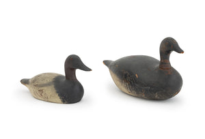 American Painted and Carved Wood Duck Decoys, 2
