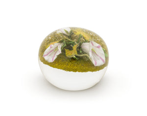 Paul Stankard Botanical Glass Paperweight, 2003