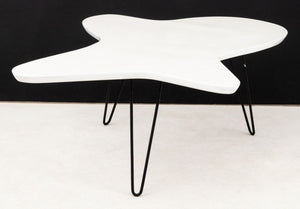 Jens Risom Style Modernica "Amoeba" Coffee Table (9804625346867)