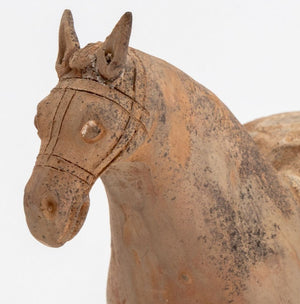 Chinese Tang Dynasty Style Terracotta Horse (9842609226035)