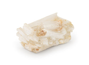 Selenite Crystal Jardiniere