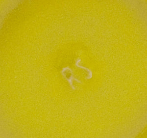 Rupert Spira Yellow Glazed Stoneware Articles, 12 (9737713549619)