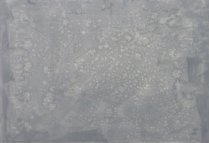 Elfi Schuselka "The Grey One" Acrylic on Paper (9846967107891)