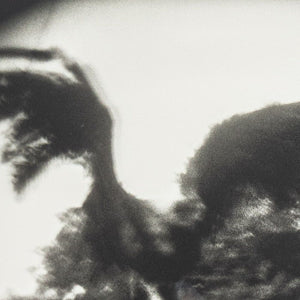 Michael Ackerman "Cabbagetown" Silver Print (9859428516147)