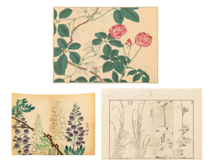 Japanese School Botanical Woodblock Prints, 3