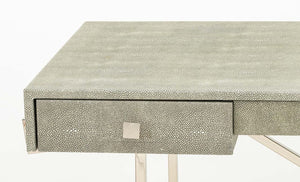 Faux Shagreen and Chrome Desk