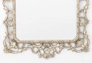 Rococo Style Silvered Wood Framed Mirror (9756104524083)