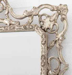 Rococo Style Silvered Wood Framed Mirror (9756104524083)