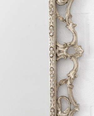Rococo Style Silvered Wood Framed Mirror (9756104524083)
