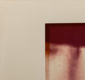William Eggleston Okra Scale Dye Transfer Print (9755220738355)