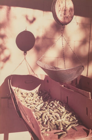 William Eggleston Okra Scale Dye Transfer Print (9755220738355)