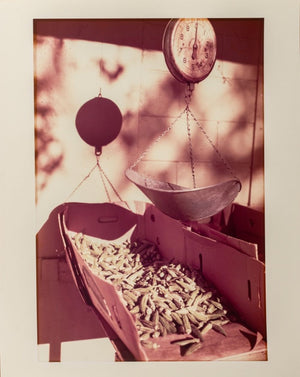 William Eggleston Okra Scale Dye Transfer Print (9755220738355)