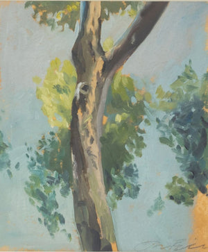 Jason Bereswill "Madrid Tree Study" Oil on Paper (9856121635123)