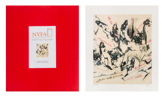 Carolee Schneemann "Ice Music for John", 2018