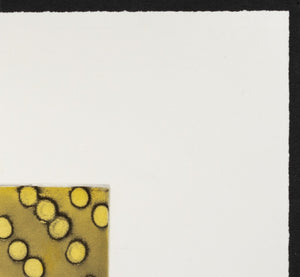 Ross Bleckner "Selection Sequence" Etching (9735734133043)