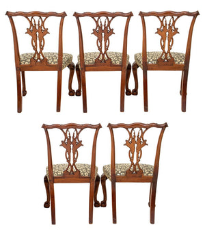 Chippendale Style Mahogany Side Chairs, ca. 1900, Set of 5 (8092211151155)
