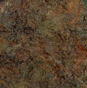 Andy Miller Abstract Composition Oil on Canvas (9647880044851)