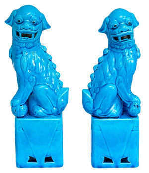 Chinese Turquoise Ground Porcelain Pho Dogs, Pair