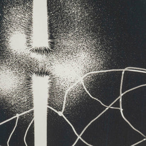Gyorgy Kepes "Magnetic Fields" Silver Print (9884952592691)