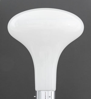 Carlo Nason "Mazzega" Murano Glass Floor Lamp (9885133439283)