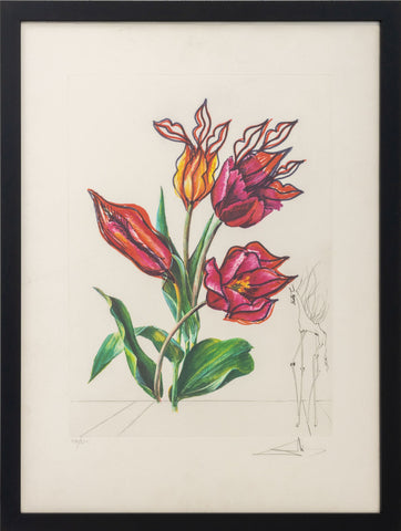 Salvador Dali 
