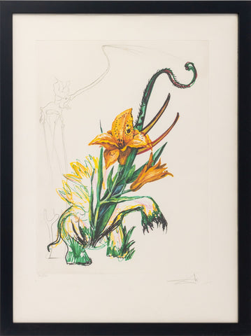 Salvador Dali 