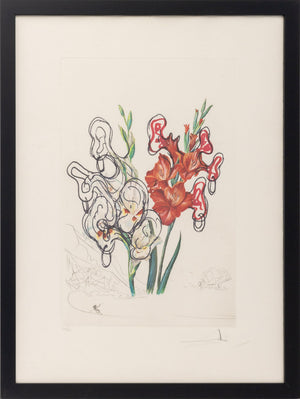 Salvador Dali "Gladiolus (Ears)" Etchings, 1972