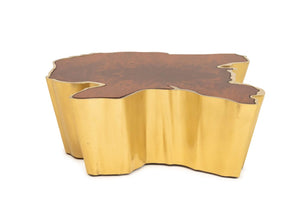 Brabbu "Sequoia" Center Table