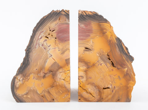 Petrified Wood Mineral Specimen Bookends, Pair