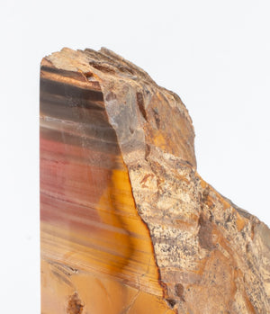 Petrified Wood Mineral Specimen Bookends, Pair (8924804907315)