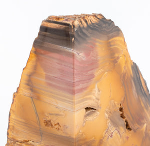 Petrified Wood Mineral Specimen Bookends, Pair (8924804907315)