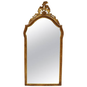 Baroque Style Gilt Wood Mirror  (6719840845981)