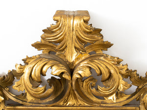 Continental Rococo Giltwood Mirror (7279268561053)