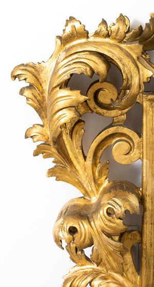 Continental Rococo Giltwood Mirror (7279268561053)